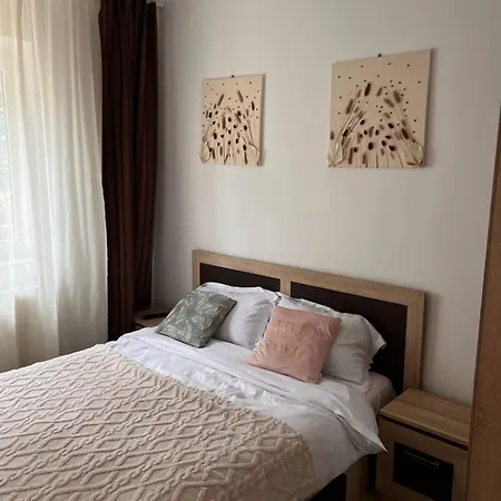 Civic Armoniei - Self Check In -mall Afi *