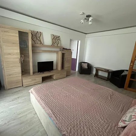 Civic Armoniei - Self Check In -mall Afi 아파트 브라쇼브