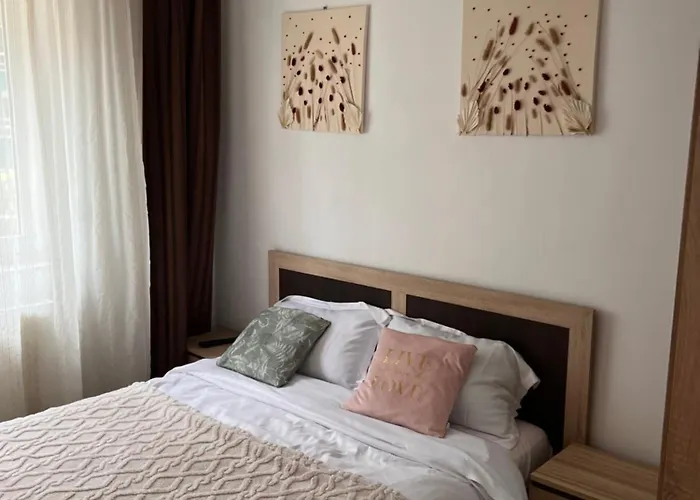 Civic Armoniei - Self Check In -mall Afi *