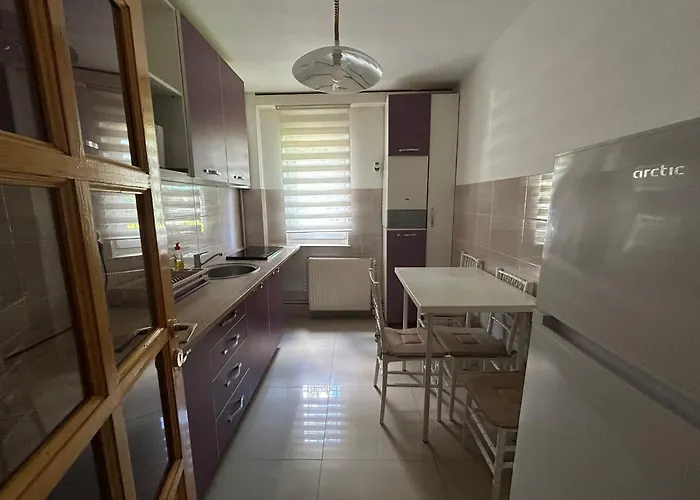 Apartment Civic Armoniei - Self Check In -mall Afi *